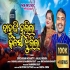 Bahungi Hajila Kalasi Jhulila