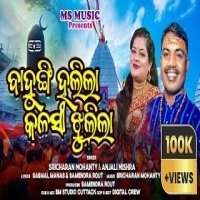 Bahungi Hajila Kalasi Jhulila